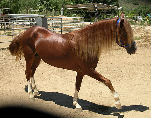 Rno Espiritu