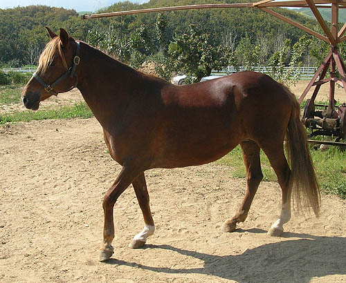 Jor Finura